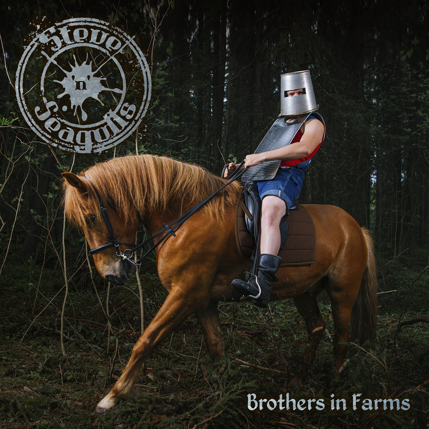 Brothers in Farms – Steve’N’Seagulls