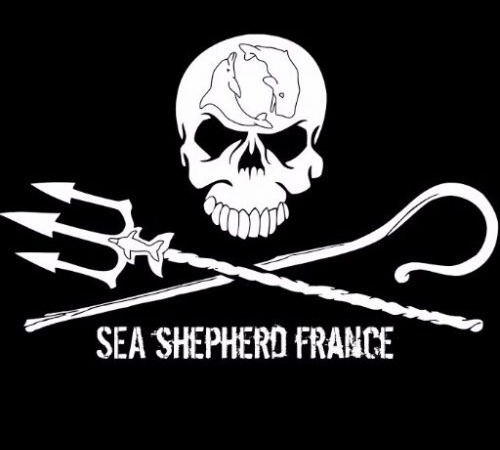 Le Métal et l’Engagement : Sea Shepherd