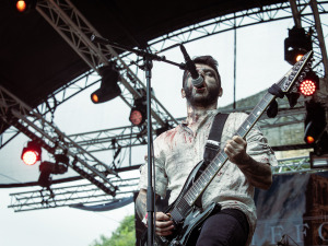 Griffon-deuskinphotography-070226-8