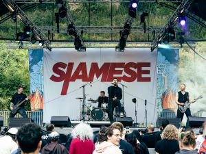 Siamese-deuskinphotography-070226-16